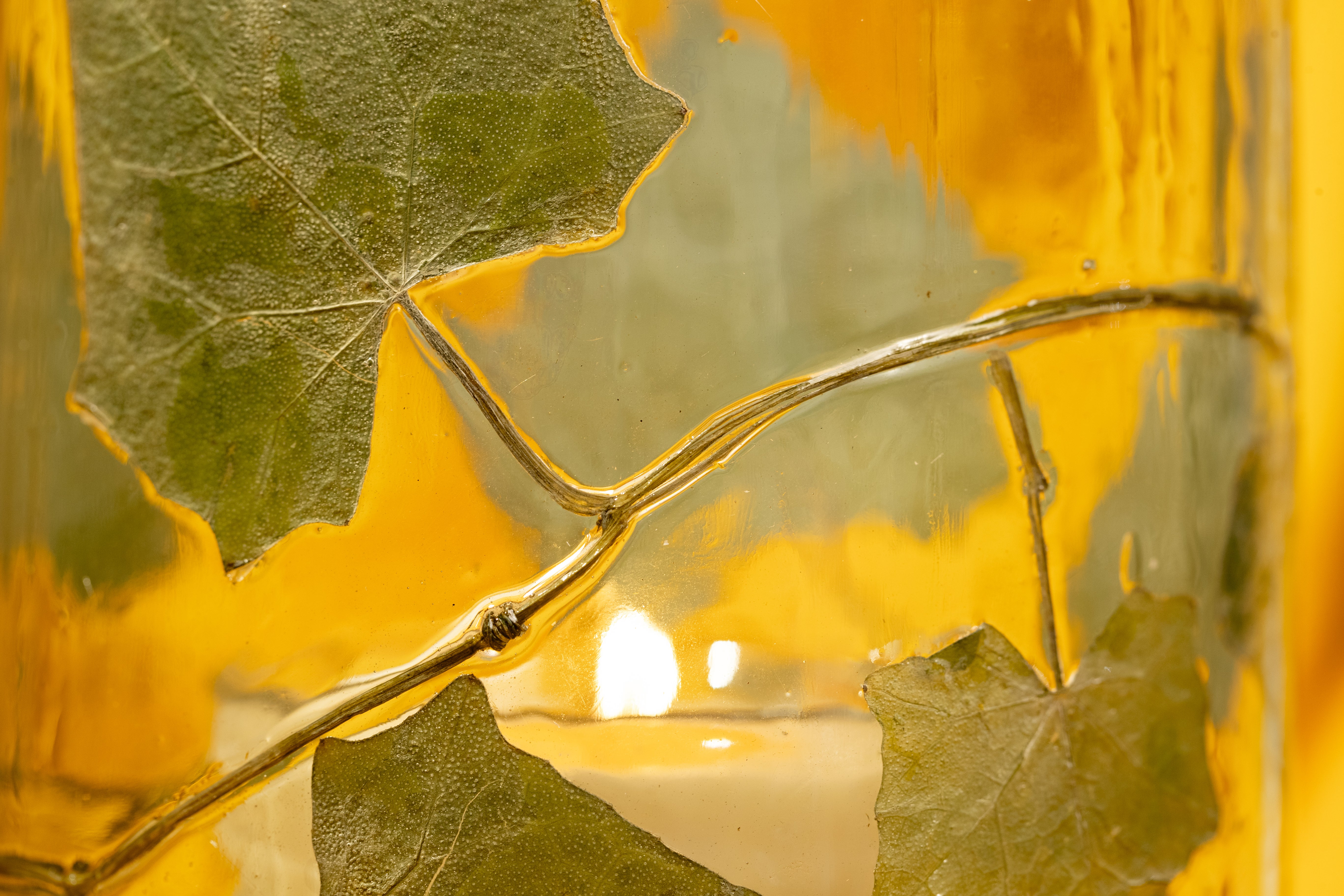 Glass Candle Holder with Ivy Leaf and Gold Rim, Medium