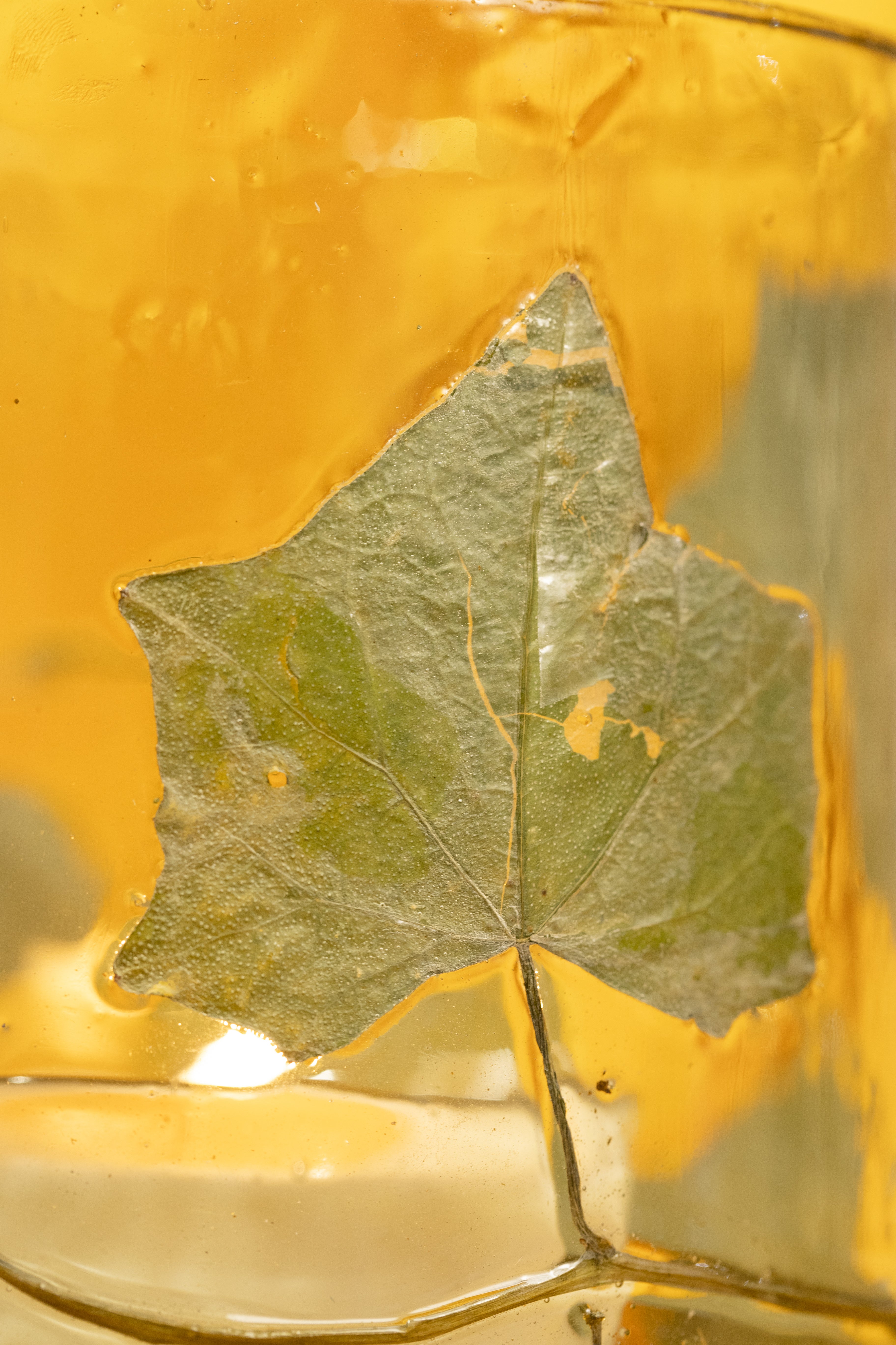 Glass Candle Holder with Ivy Leaf and Gold Rim, Small