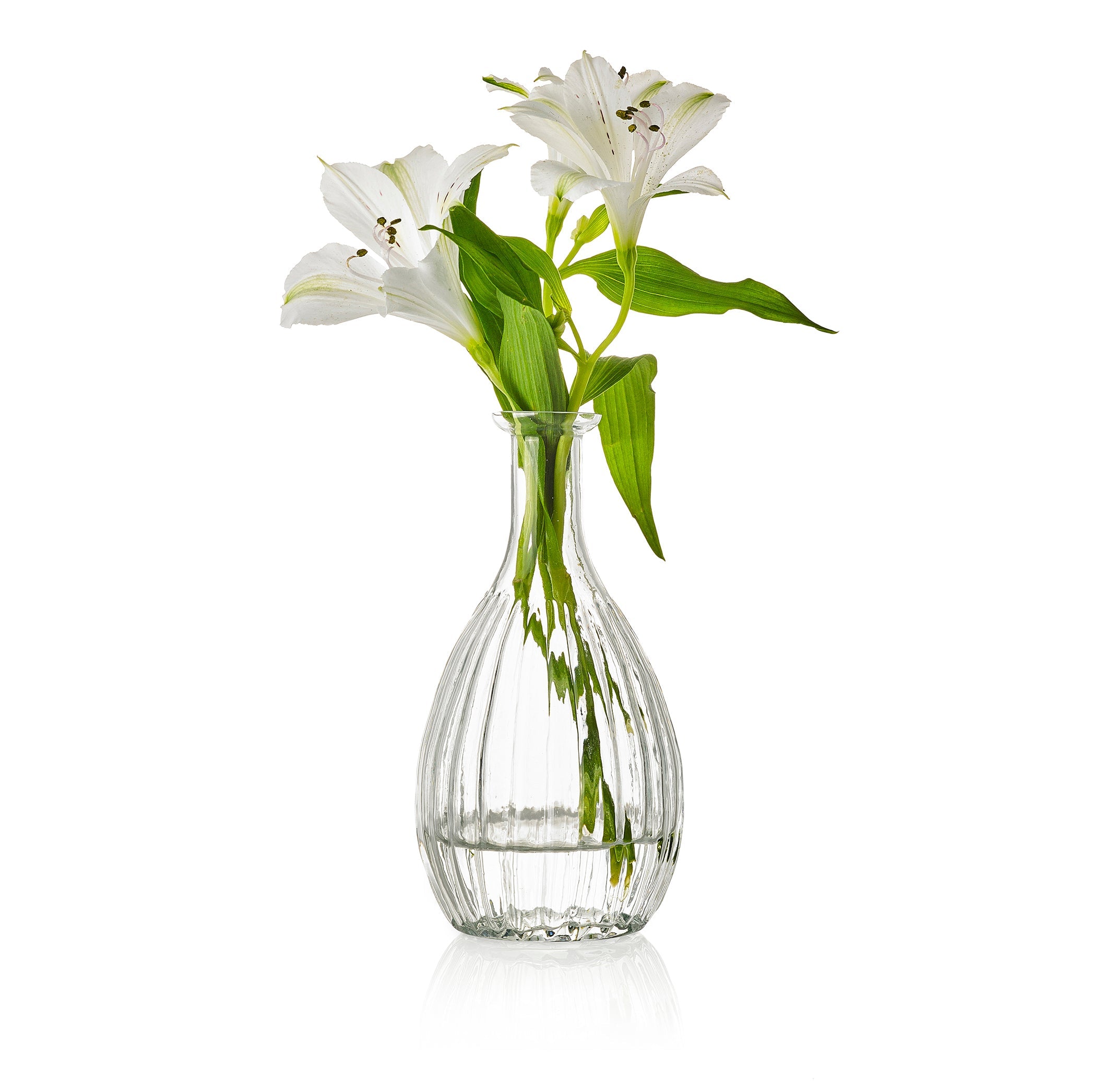 Ela Clear Bud Vase, 16cm