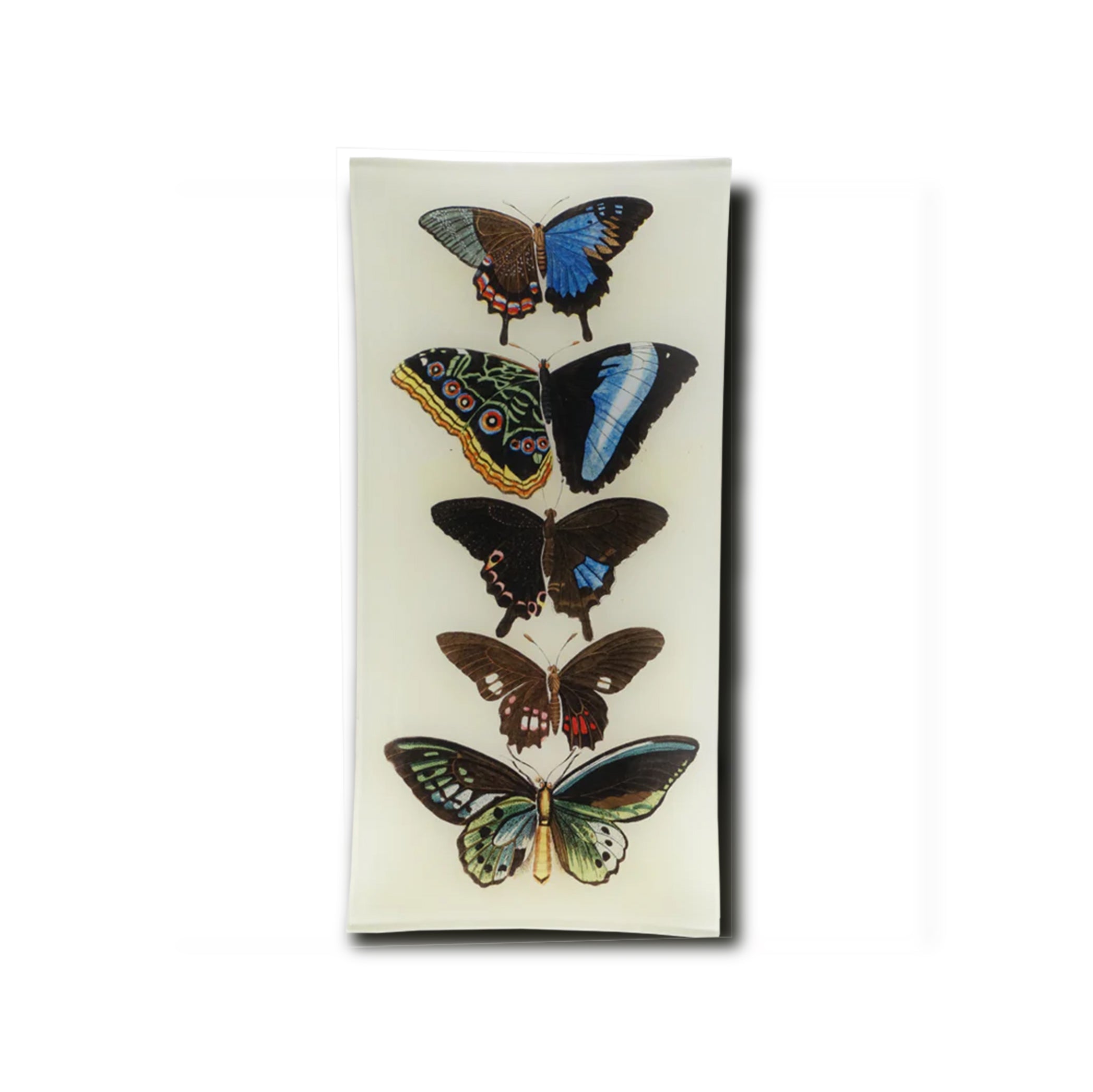 John Derian Five Winged Rectangular Tray 15 x 30cm