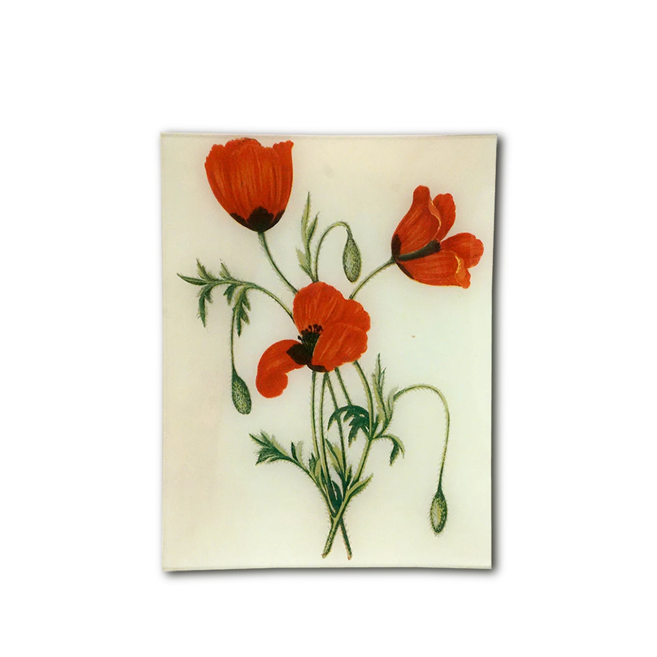 John Derian Long Prickly-Headed Poppy Rectangular Tray 20 x 27cm