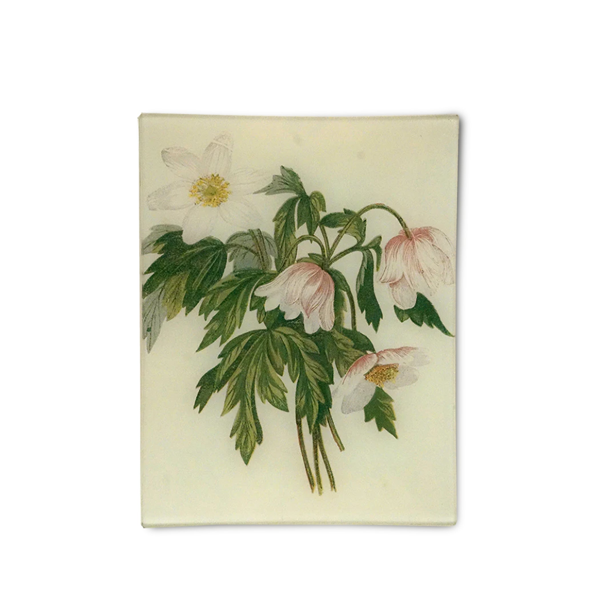 John Derian Wood Anemone Rectangular Tray 20 x 27cm