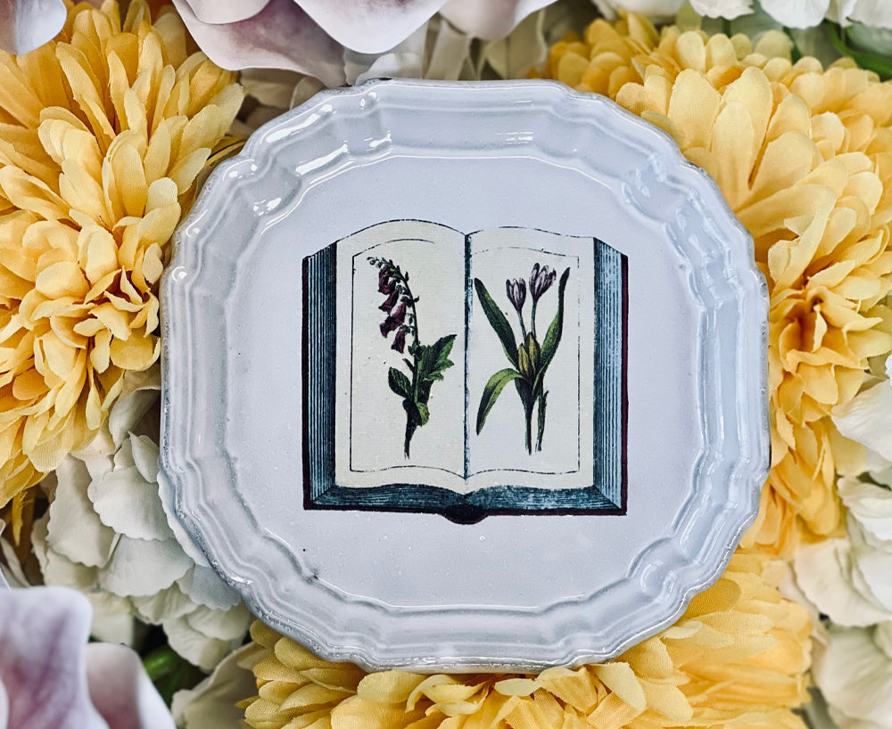 Grand Livre de Fleurs Small Plate by Astier de Villatte, 13.5cm