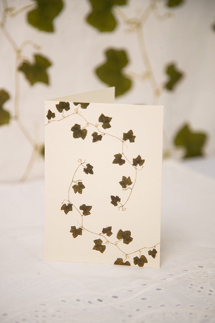 'Ivy' Greeting Card, 15cm x 10cm