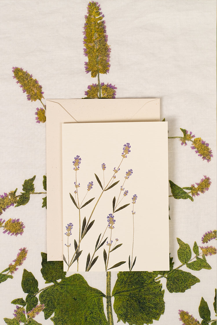 'Lavender' Greeting Card, 15cm x 10cm