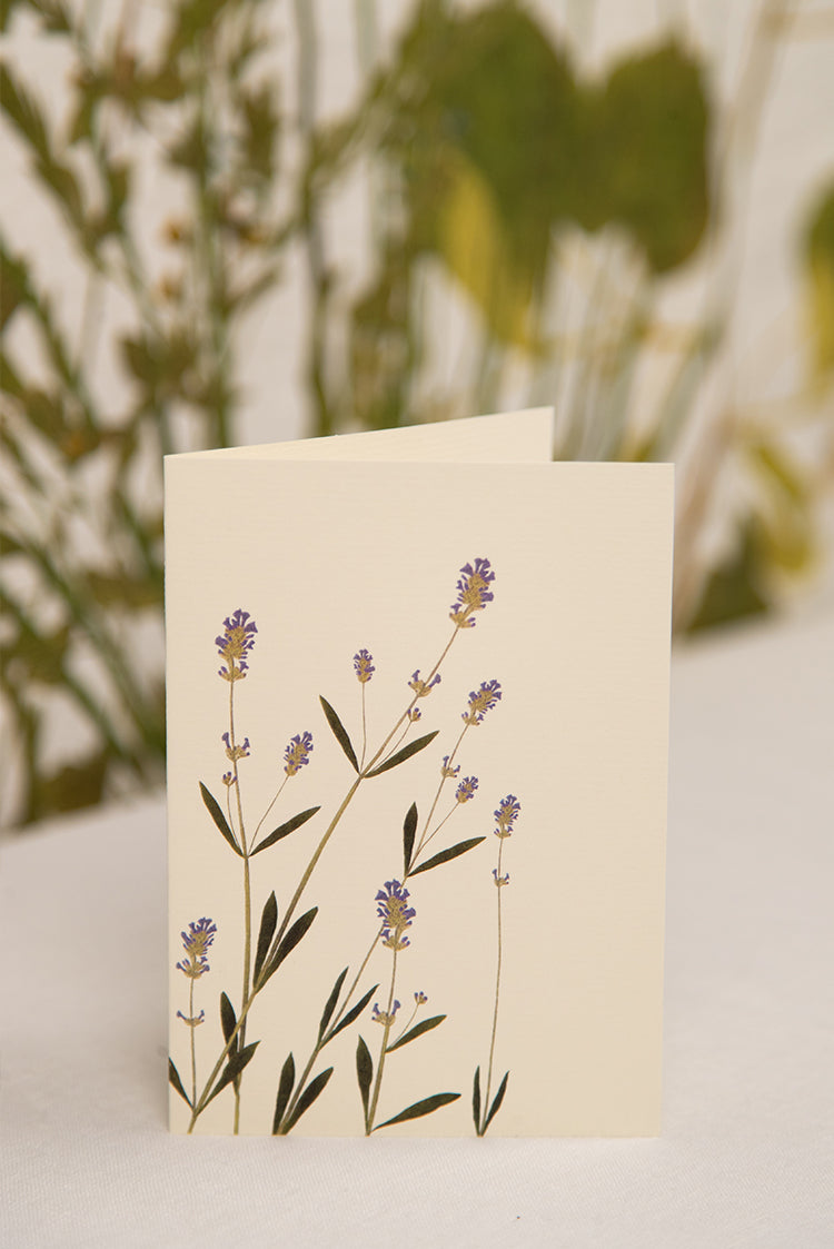 'Lavender' Greeting Card, 15cm x 10cm