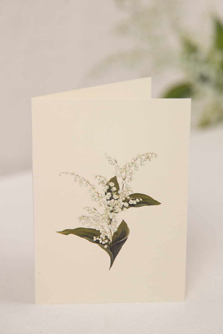 'Lily of the Valley' Greeting Card, 15cm x 10cm