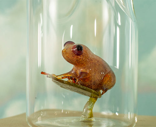 Handblown Glass Orange Frog Carafe, 24.5cm