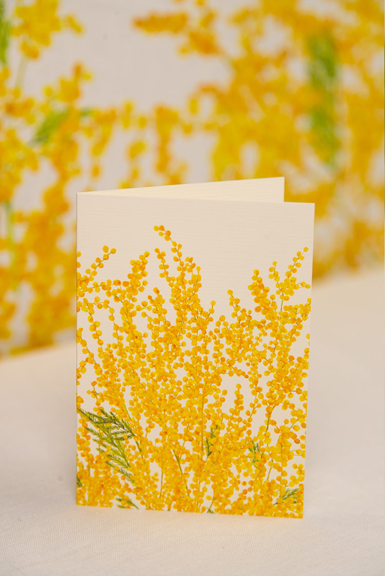 'Mimosa' Greeting Card, 15cm x 10cm