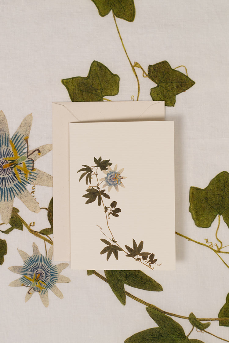 'Passiflora' Greeting Card, 15cm x 10cm