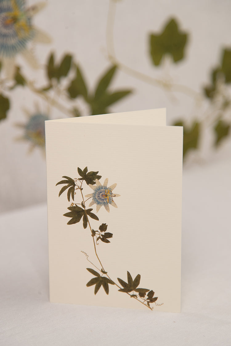 'Passiflora' Greeting Card, 15cm x 10cm