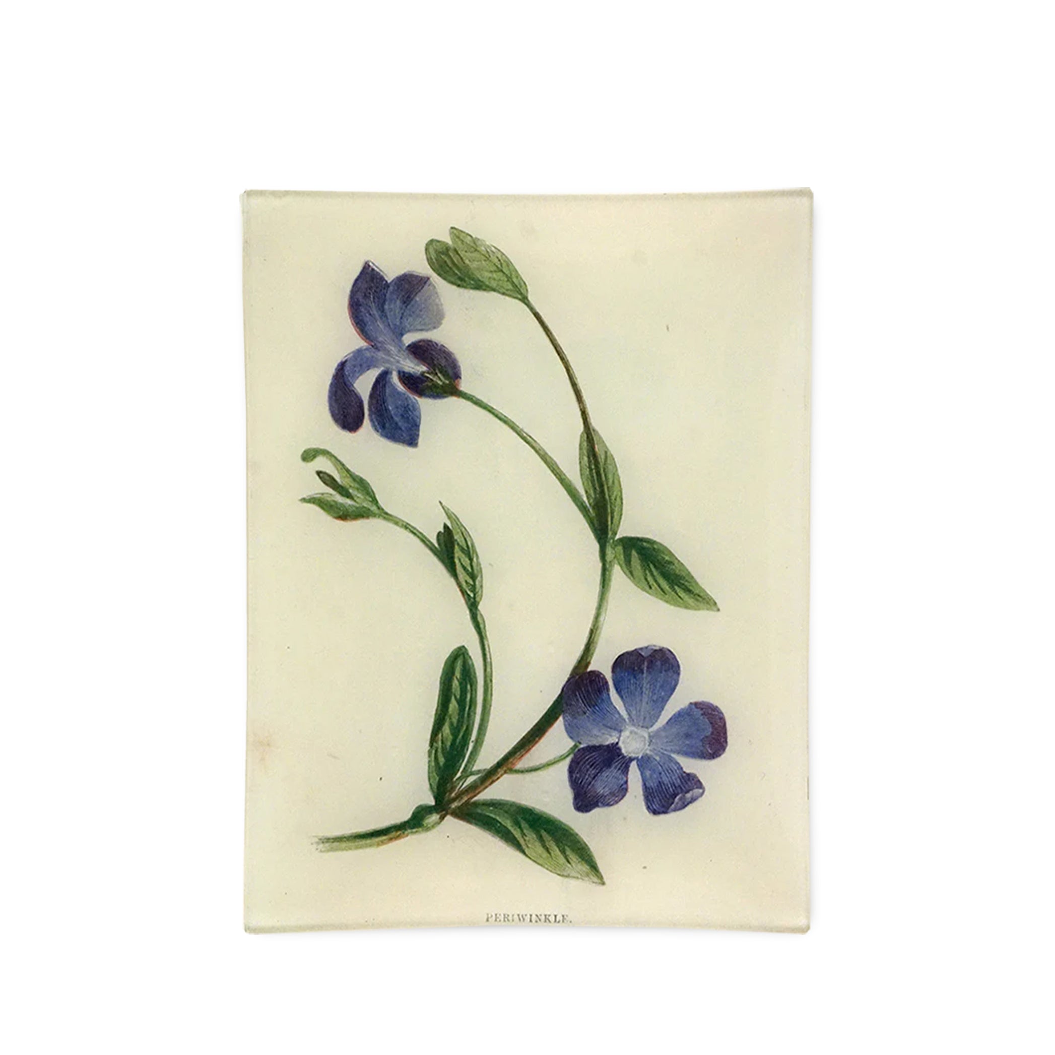 John Derian Periwinkle Rectangular Tray 20 x 27cm