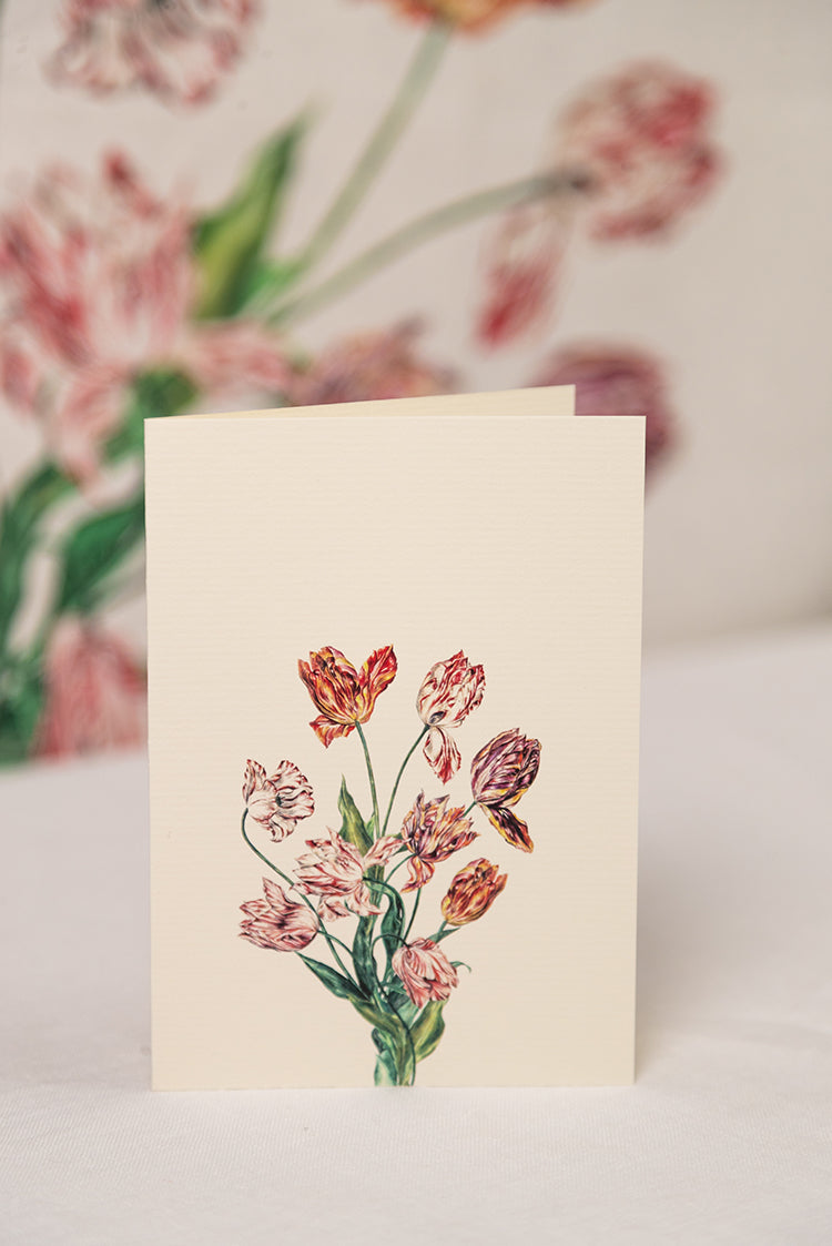 'Tulip' Greeting Card, 15cm x 10cm