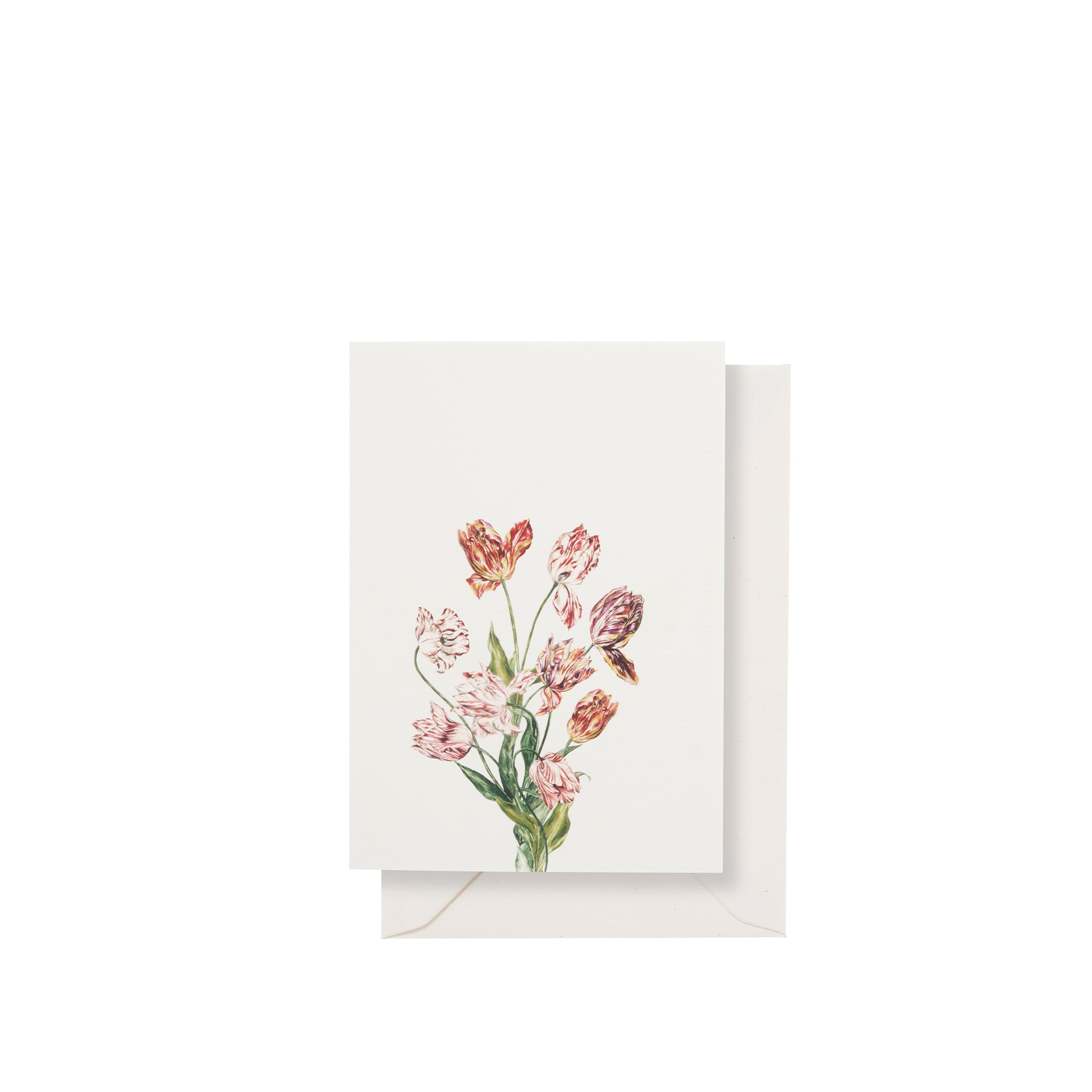 'Tulip' Greeting Card, 15cm x 10cm