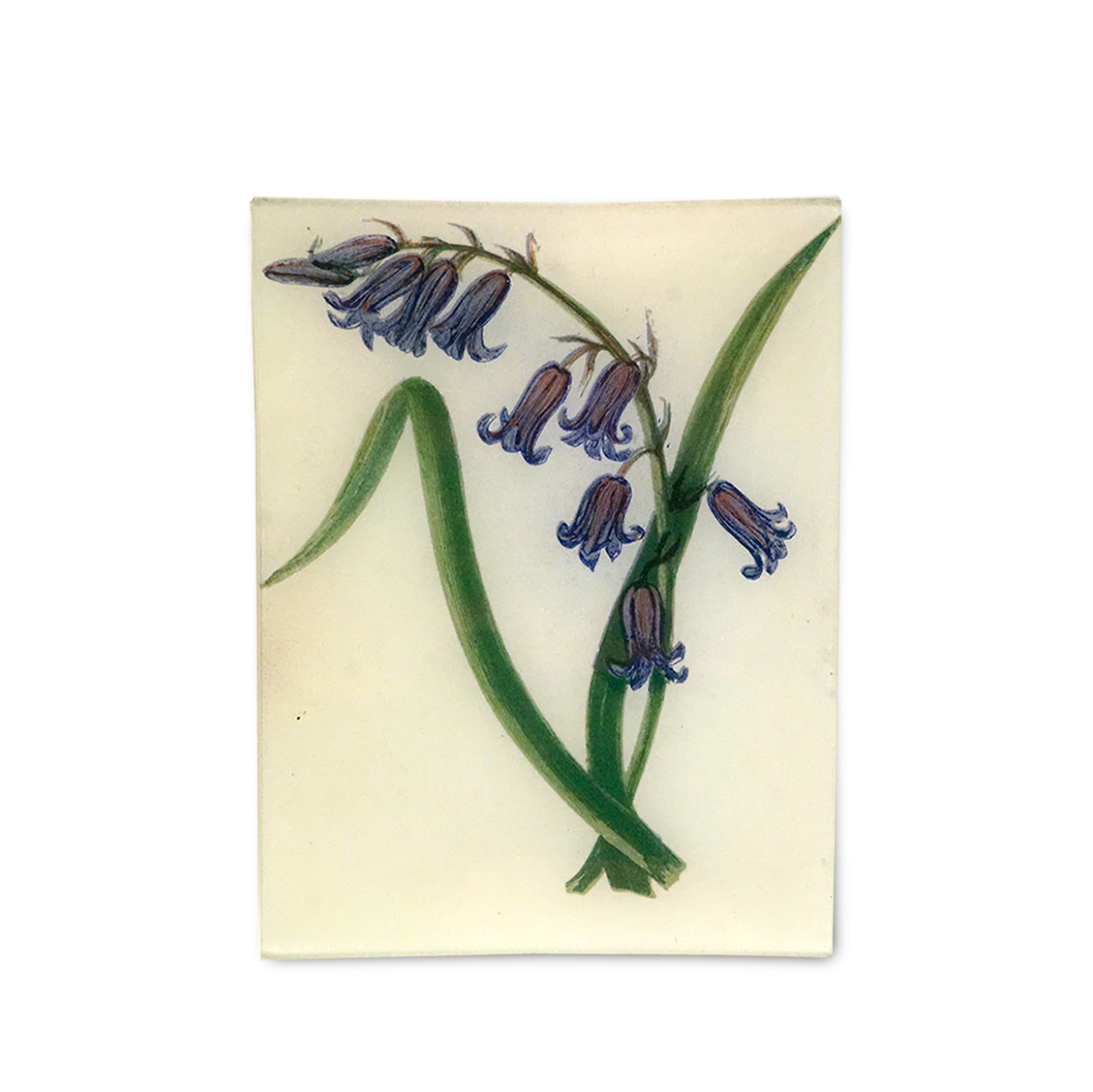 John Derian Wild Hyacinth Rectangular Tray 20 x 27cm